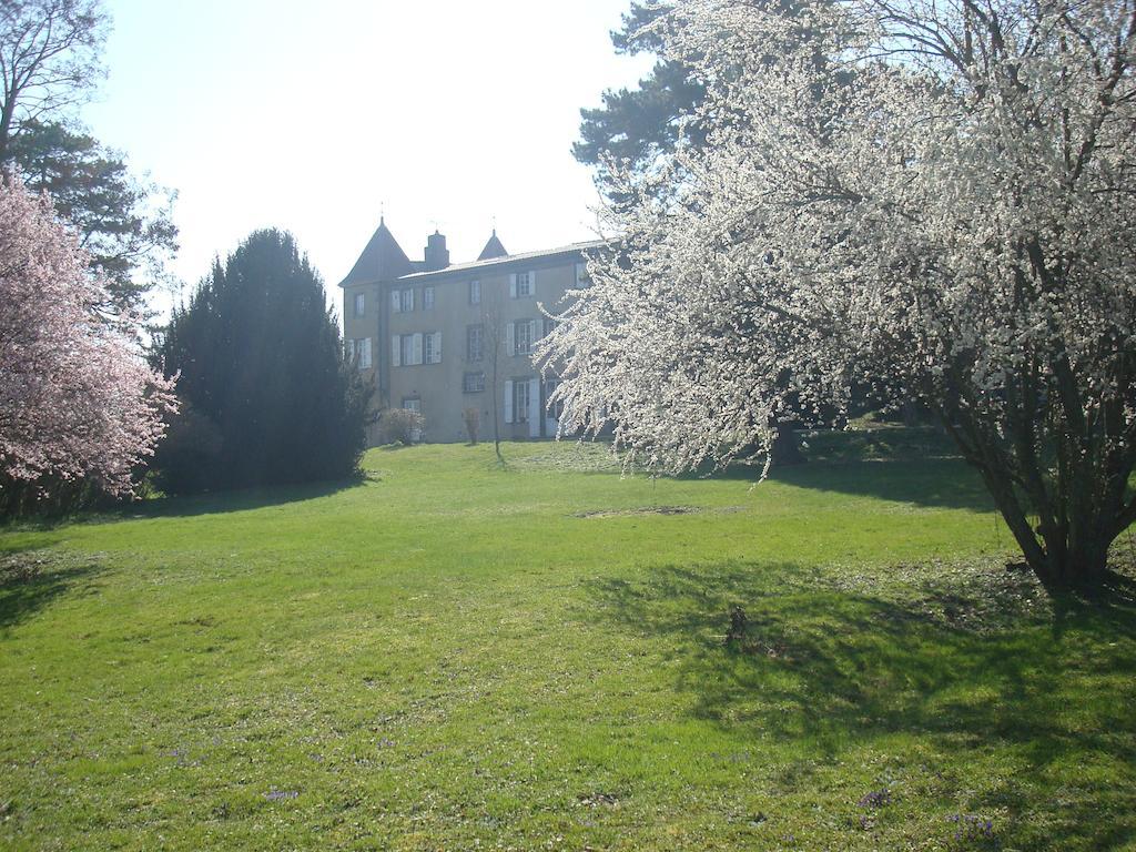 Bed and Breakfast Chateau De Bourrassol Menetrol Экстерьер фото